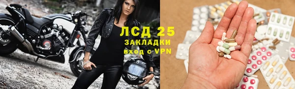стаф Белокуриха