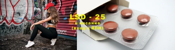 стаф Белокуриха