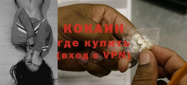 стаф Белокуриха