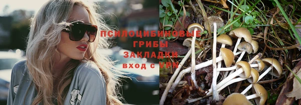 mdpv Белоозёрский