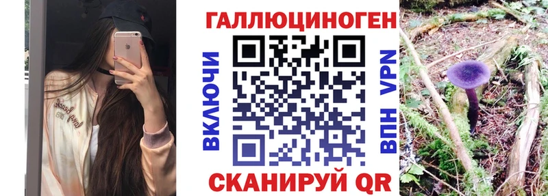 наркотики  Будённовск  Псилоцибиновые грибы Cubensis 